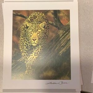 Silent Stalker by Andrew Bone